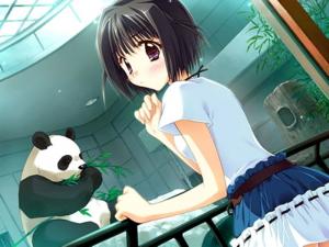 Animaux